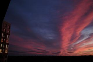 Sunset with deep purples and pinks, reflected in apartment windows to the left.