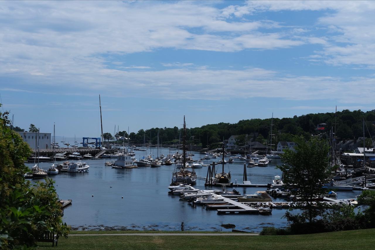 Boats in a harbor.