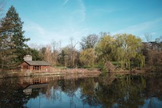 A cool spring day at the pond on the campus of Haverford College. In the distance a willow tree leans over the edge of the pond, reflected in the water. A small cabin is to the left of the willow, flanked by a pine tree.