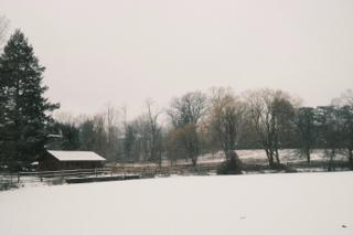 A snowy winter day at the pond on the campus of Haverford College. The pond is covered with snow.