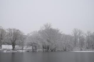 Haverford College pond, with the trees on the far bank dusted in snow.