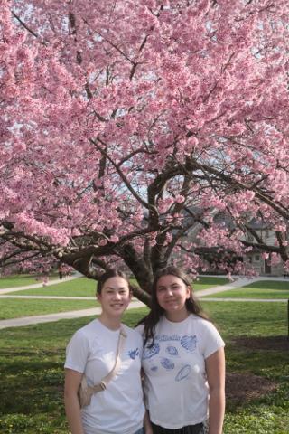 Sisters pose in front of a cherry blossom tree.
