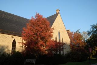 Two trees with bright orange leaves flank the entrance to a building on a college campus.