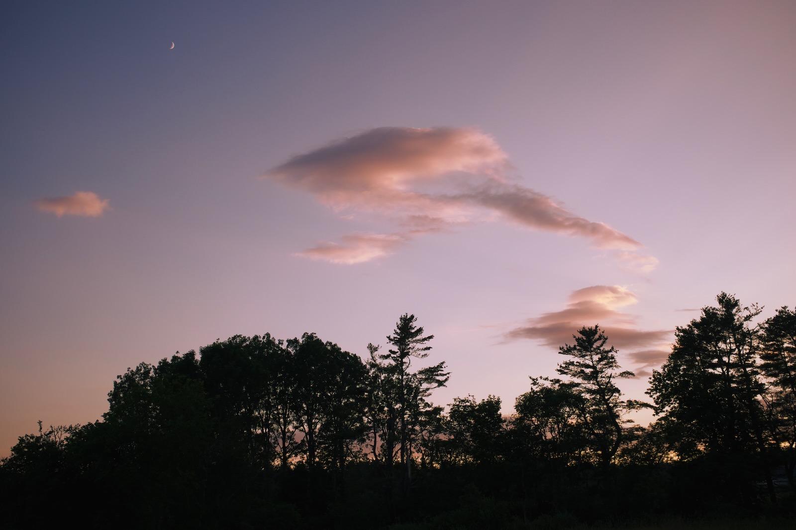 Wispy clouds under a sunset sky, with trees in silhouette. In the distance a waxing crescent moon can be seen.