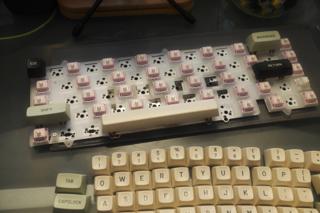 Keyboard PCB with some switches installed in a zebra-stripe pattern.