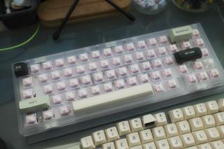 Keyboard PCB fully mounted with switches, installed into a polycarbonate case.