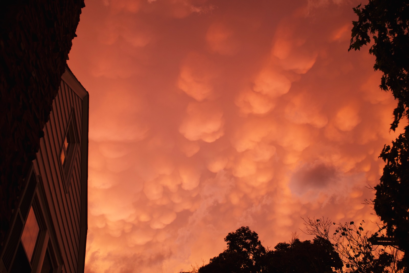 A sky during a reddish sunset, dotted by little puffy clouds—like someone took cotton balls and placed them in the sky.