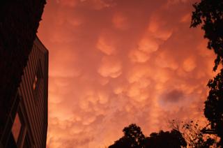 A sky during a reddish sunset, dotted by little puffy clouds—like someone took cotton balls and placed them in the sky.