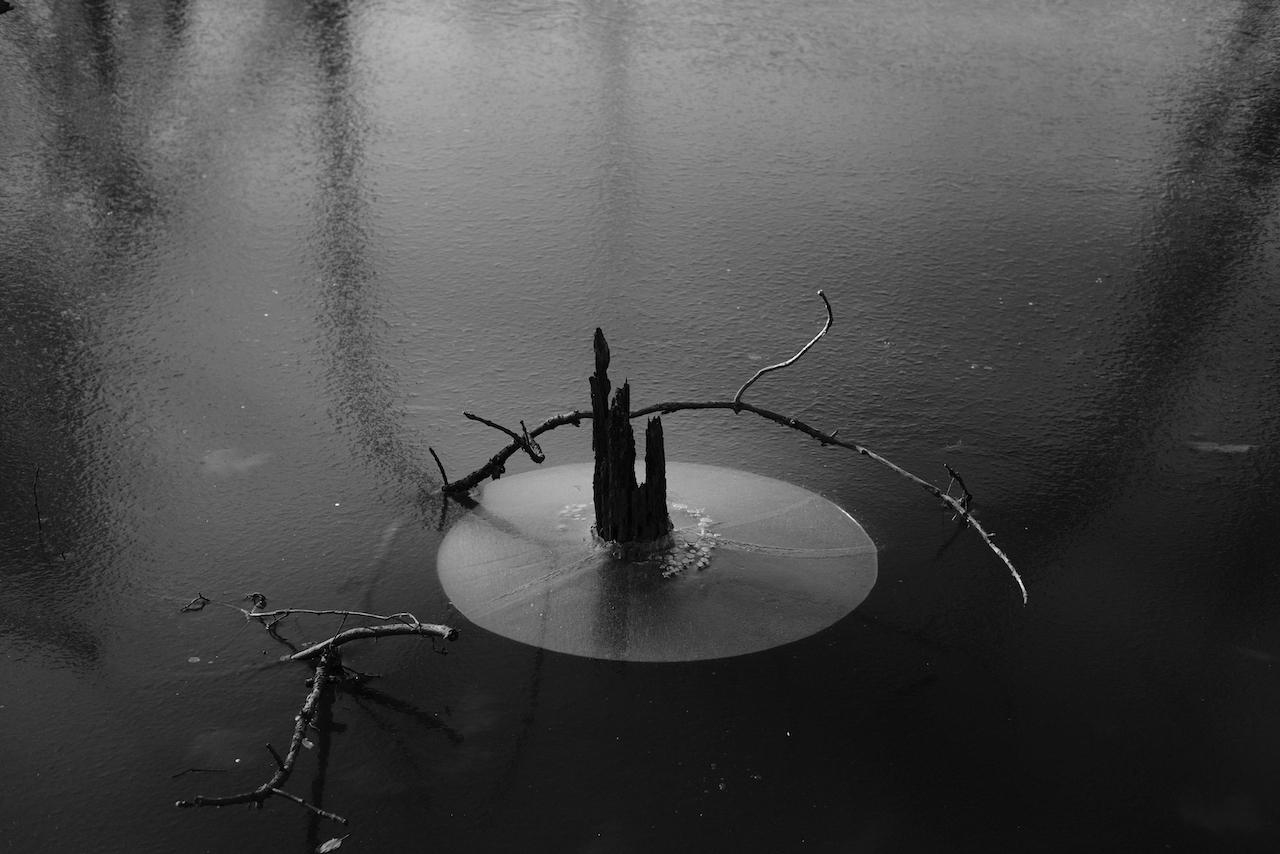 Small stump with a smooth frozen circle