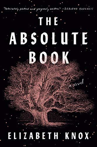 Cover art forThe Absolute Book