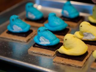 Peep marshmallows arranged atop dark chocolate and graham crackers.