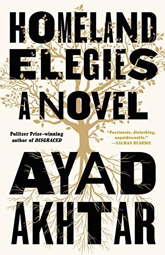 Cover for Homeland Elegies