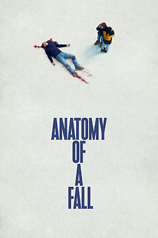 Cover art forAnatomy of a Fall