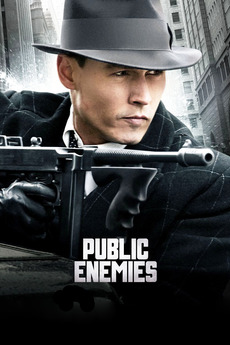 Cover art forPublic Enemies