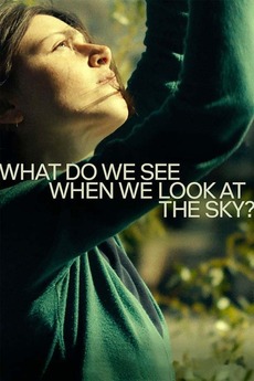 Cover art forWhat Do We See When We Look at the Sky?