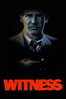 Cover art forWitness